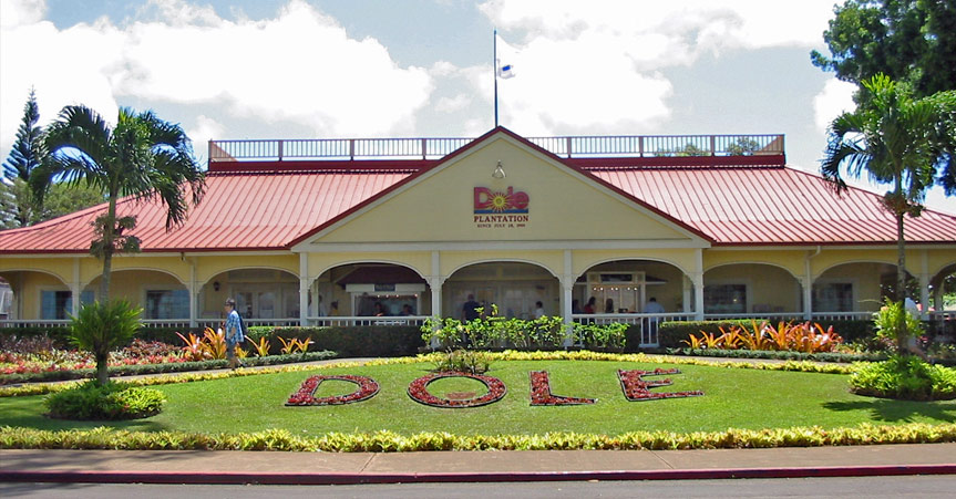 Experience the lush landscapes of Oahu’s famous Dole Plantation